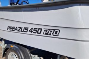 pegazus-450-pro6