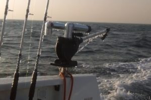 pegazus-560-topfisher-11