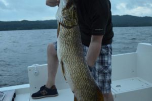 pegazus-560-topfisher-12