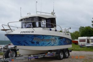 pegazus-560-topfisher-13