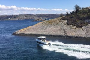 pegazus-560-topfisher-18