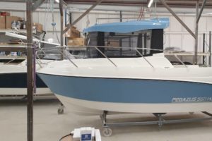 pegazus-560-topfisher-22