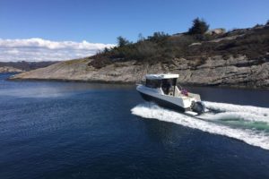 pegazus-560-topfisher-24